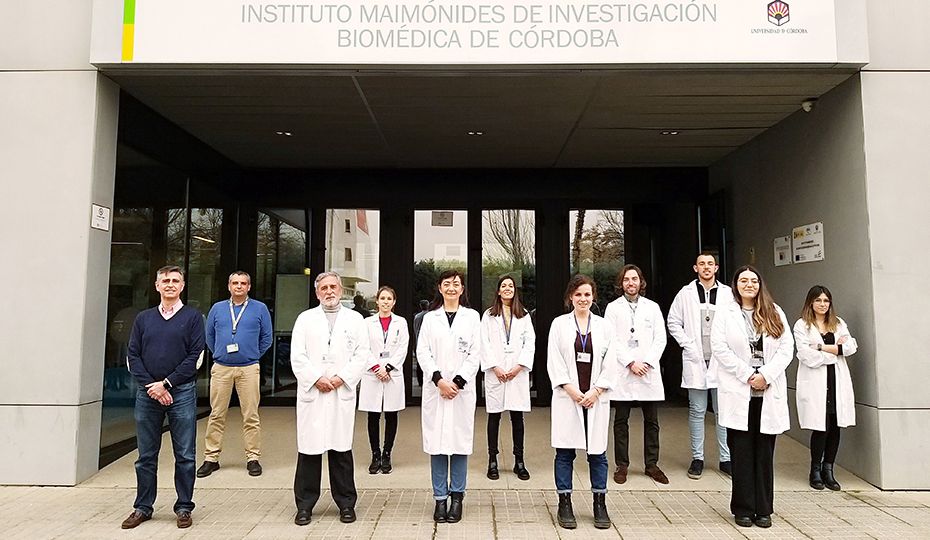 medicos andaluces